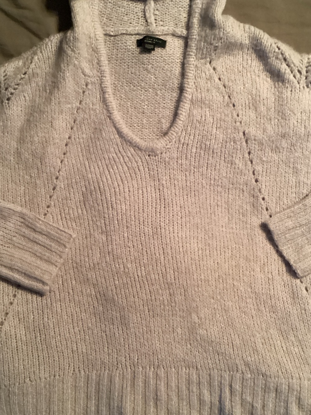 American Eagle Outfitters Lavender V-Neck Hooded Sweater